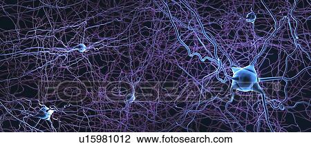 Stock Image - Neural network, illustration. Fotosearch