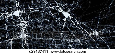 Neural network, illustration View Large Photo Image Stock Image - Neural network, illustration. Fotosearch