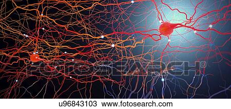 Stock Image - Neural network, illustration. Fotosearch