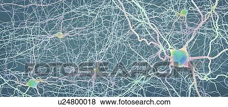 Stock Photo - Neural network, illustration. Fotosearch
