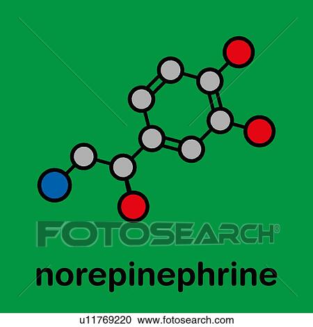 Norepinephrine molecule, illustration View Large Photo Image Stock Image - Norepinephrine molecule, illustration. Fotosearch