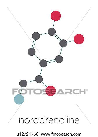 Stock Photograph - Norepinephrine molecule, illustration. Fotosearch