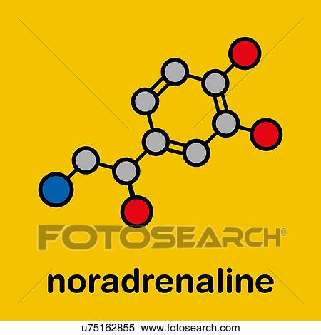 Stock Photography - Norepinephrine molecule, illustration. Fotosearch