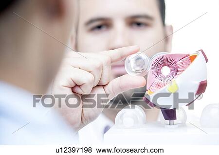 Ophthalmologist with model of an eye View Large Photo Image Stock Photo - Ophthalmologist with model of an eye. Fotosearch