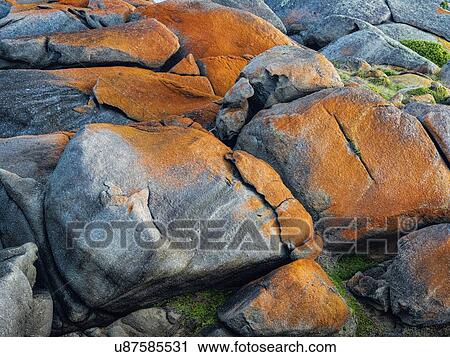 Orange and grey rocks on Granite Island, Australia View Large Photo Image Stock Image - Orange and grey rocks on Granite Island, Australia. Fotosearch