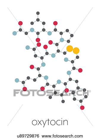 Stock Photograph - Oxytocin hormone molecule, illustration. Fotosearch