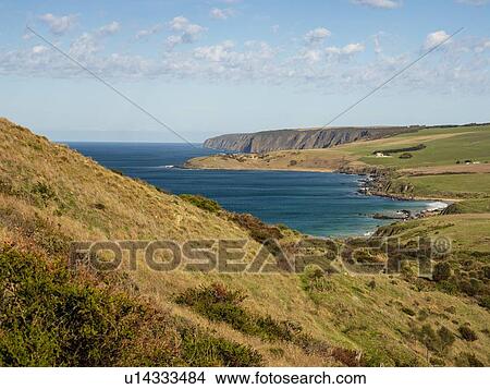 Picture - Petrel Cove in South Australia, Australia. Fotosearch