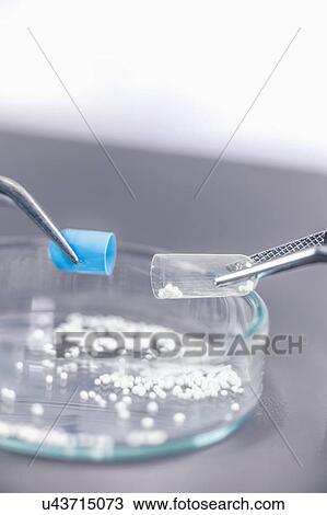 Pharmaceutical worker examining a pill View Large Photo Image Stock Image - Pharmaceutical worker examining a pill. Fotosearch