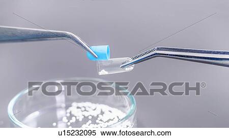 Pharmaceutical worker examining a pill View Large Photo Image Stock Photography - Pharmaceutical worker examining a pill. Fotosearch