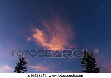 Pink clouds over trees in Sun Valley, Idaho, USA View Large Photo Image Stock Photograph - Pink clouds over trees in Sun Valley, Idaho, USA. Fotosearch