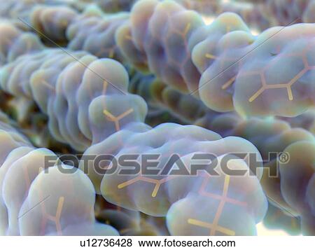 Stock Photo - Polyethylene terephthalate polyester, illustration. Fotosearch