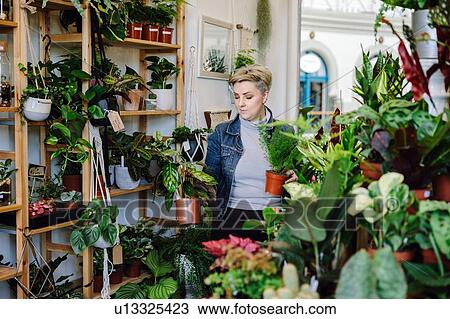 Stock Image - Proud owner with potted plants in plant nursery. Fotosearch