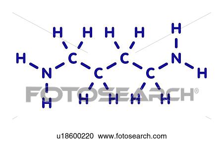 Stock Image - Putrescine foul smelling molecule. Fotosearch
