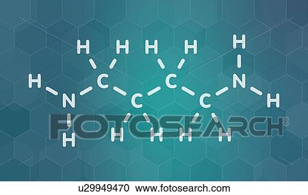 Putrescine foul smelling molecule View Large Photo Image Stock Image - Putrescine foul smelling molecule. Fotosearch