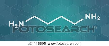 Putrescine foul smelling molecule View Large Photo Image Stock Photography - Putrescine foul smelling molecule. Fotosearch