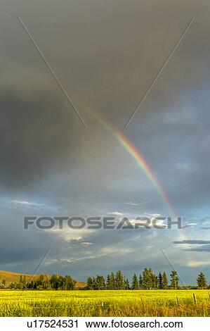 Rainbow over field in Picabo, Idaho, USA View Large Photo Image Stock Image - Rainbow over field in Picabo, Idaho, USA. Fotosearch