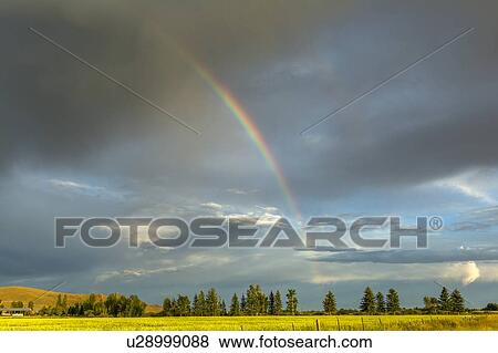 Stock Photo - Rainbow over field in Picabo, Idaho, USA. Fotosearch