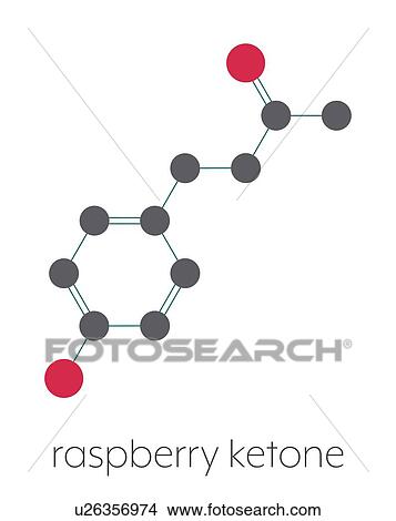 Picture - Raspberry ketone molecule, illustration. Fotosearch