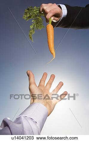 Stock Image - Reaching for a carrot. Fotosearch