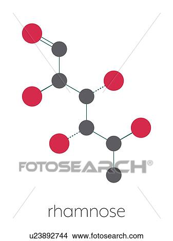Picture - Rhamnose deoxy sugar molecule. Fotosearch
