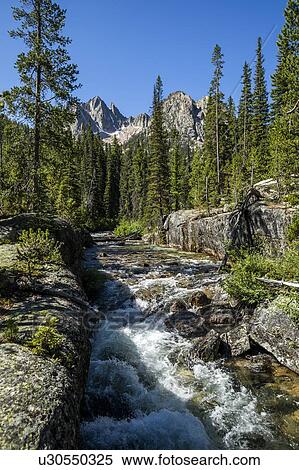 River and forest by Sawtooth Mountains in Stanley, Idaho, USA View Large Photo Image Stock Photography - River and forest by Sawtooth Mountains in Stanley, Idaho, USA. Fotosearch