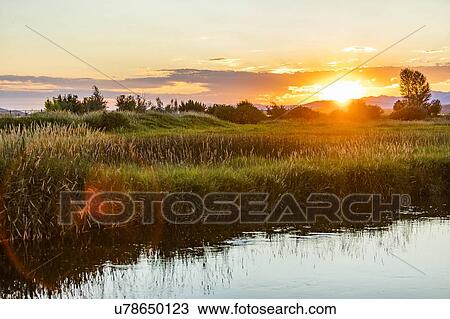 River at sunset in Picabo, Idaho, USA View Large Photo Image Stock Image - River at sunset in Picabo, Idaho, USA. Fotosearch