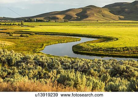 River through fields in Picabo, Idaho, USA View Large Photo Image Stock Photo - River through fields in Picabo, Idaho, USA. Fotosearch