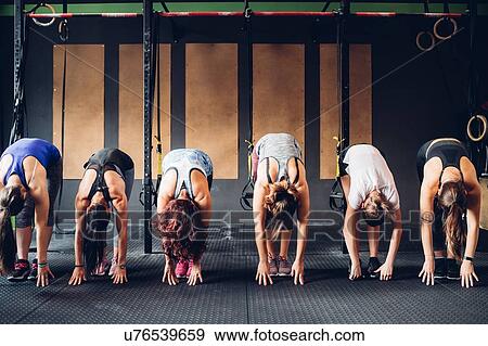 Stock Photo - Row of women training in gym, bending forward touching floor. Fotosearch