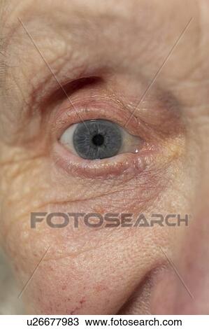 Senior woman's eye View Large Photo Image Stock Image - Senior woman's eye. Fotosearch