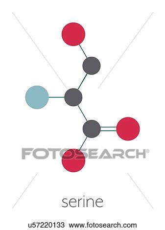 Stock Image - Serine amino acid molecule, illustration. Fotosearch