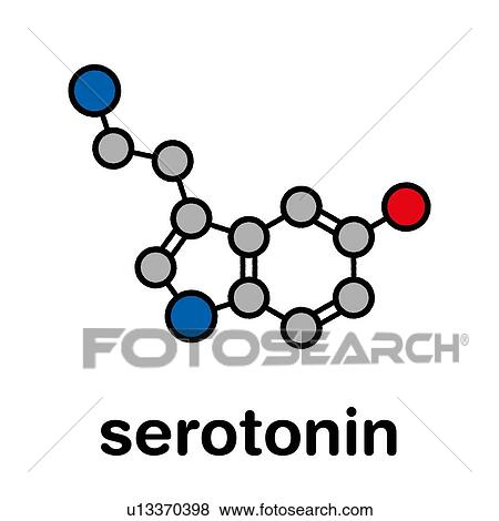 Serotonin neurotransmitter molecule, illustration View Large Photo Image Stock Photo - Serotonin neurotransmitter molecule, illustration. Fotosearch
