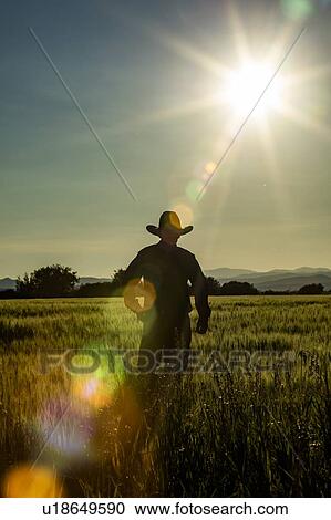 Silhouette of farmer in crop field in Picabo, Idaho, USA View Large Photo Image Stock Image - Silhouette of farmer in crop field in Picabo, Idaho, USA. Fotosearch