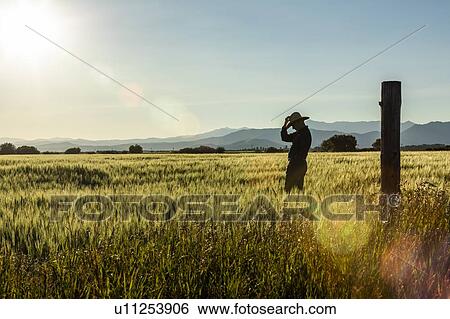 Stock Photograph - Silhouette of farmer in crop field in Picabo, Idaho, USA. Fotosearch