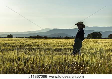 Stock Photograph - Silhouette of farmer in crop field in Picabo, Idaho, USA. Fotosearch