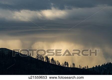 Silhouettes of trees under overcast sky in Bellevue, Idaho, USA View Large Photo Image Stock Image - Silhouettes of trees under overcast sky in Bellevue, Idaho, USA. Fotosearch