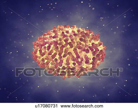 Stock Image - Smallpox virus, illustration. Fotosearch
