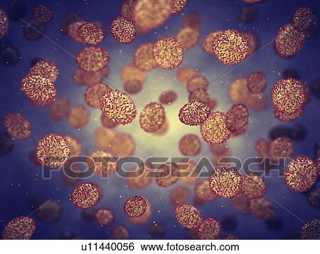 Smallpox viruses, illustration View Large Photo Image Stock Photograph - Smallpox viruses, illustration. Fotosearch