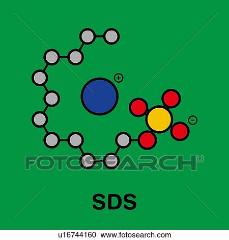 Stock Image - Sodium dodecyl sulfate surfactant molecule, illustration. Fotosearch