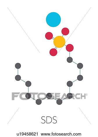 Stock Image - Sodium dodecyl sulfate surfactant molecule, illustration. Fotosearch