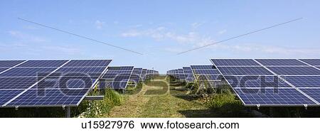 Stock Photograph - Solar panels at solar farm, Geldermalsen, Gelderland, Netherlands. Fotosearch