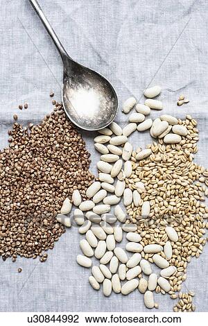 Still life of dessert spoon with lima beans, pearl barley and hemp seeds, overhead view View Large Photo Image Stock Image - Still life of dessert spoon with lima beans, pearl barley and hemp seeds, overhead view. Fotosearch
