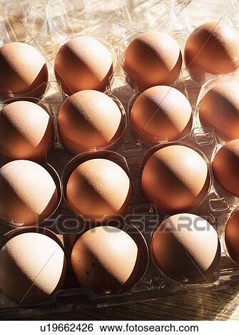 Still life of eggs in egg tray, overhead view View Large Photo Image Stock Photograph - Still life of eggs in egg tray, overhead view. Fotosearch