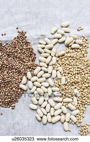 Stock Image - Still life of lima beans, pearl barley and hemp seeds on muslin, overhead view. Fotosearch