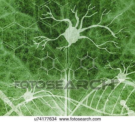 Picture - Synthetic biology, conceptual illustration. Fotosearch