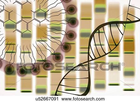 Stock Image - Synthetic biology, conceptual illustration. Fotosearch