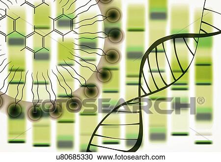 Stock Image - Synthetic biology, conceptual illustration. Fotosearch