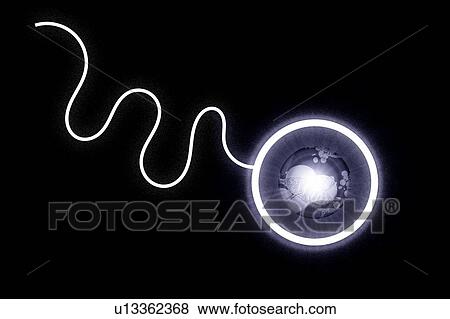 Synthetic biology, conceptual illustration View Large Photo Image Stock Photo - Synthetic biology, conceptual illustration. Fotosearch