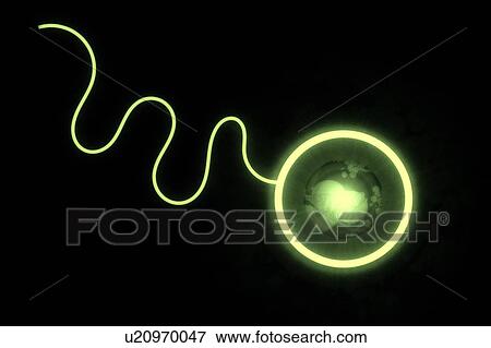 Synthetic biology, conceptual illustration View Large Photo Image Stock Photo - Synthetic biology, conceptual illustration. Fotosearch