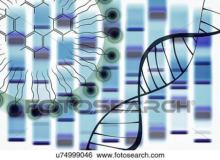 Stock Photograph - Synthetic biology, conceptual illustration. Fotosearch