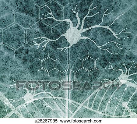 Synthetic biology, conceptual illustration View Large Photo Image Stock Photography - Synthetic biology, conceptual illustration. Fotosearch